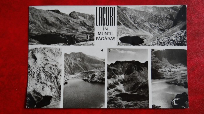 Vedere-Lacuri Fagaras:Capra,Caltun,Podragelul,Podul Giurgiului,Podragul si Bilea