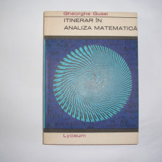 Itinerar in analiza matematica - Autor : Gheorghe Gussi