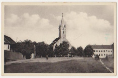 Reghin,Vedere,necirculata,bicicleta,interbelica foto