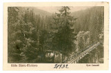 2449 - SLANIC MOLDOVA, Bacau, bridge - old postcard - unused, Necirculata, Printata