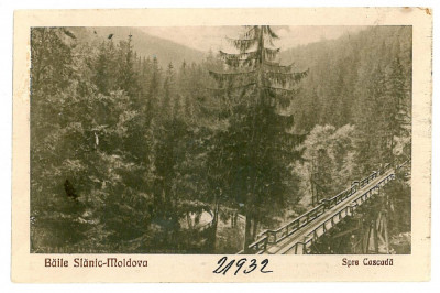 2449 - SLANIC MOLDOVA, Bacau, bridge - old postcard - unused foto