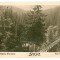 2449 - SLANIC MOLDOVA, Bacau, bridge - old postcard - unused