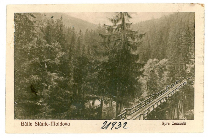 2449 - SLANIC MOLDOVA, Bacau, bridge - old postcard - unused