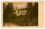 1832 - SINAIA, Prahova, PELES castle - old postcard - unused, Necirculata, Printata