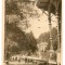 476 - SLANIC MOLDOVA, Bacau, park - old postcard - used - 1952
