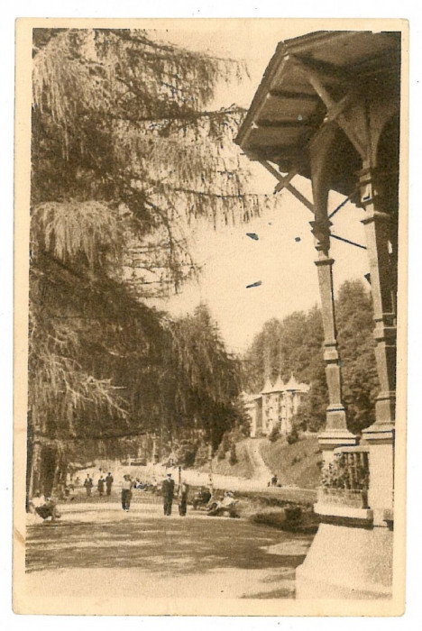 476 - SLANIC MOLDOVA, Bacau, park - old postcard - used - 1952