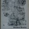ILEANA BRATU - RASTURNARE IN SPATIU (1975) [sublinieri in text + adnotari]