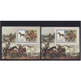 FUJEIRA 1972 FAUNA ZEBRE - DANTELAT SI NEANTELAT