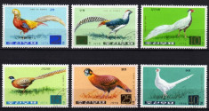 Korea 1976 Pasari Fazani x 64 serii in coala Mi.1500-5 stamp V.014 foto