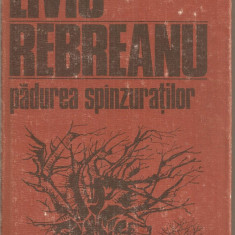 (C4999) PADUREA SPANZURATILOR DE LIVIU REBREANU, EDITURA DACIA, 1985