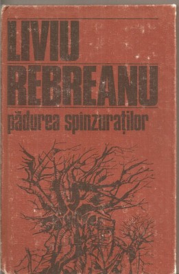 (C4999) PADUREA SPANZURATILOR DE LIVIU REBREANU, EDITURA DACIA, 1985 foto