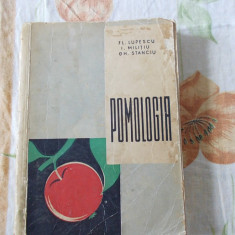 POMOLOGIA - FL.LUPESCU , I.MILITIU , GH.STANCIU .