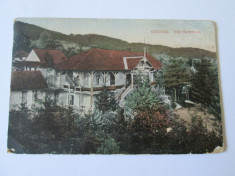 CARTE POSTALA GOVORA 1915 foto