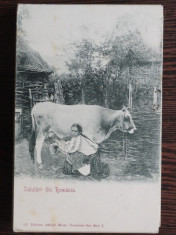 CARTE POSTALA Salutari din Romania 1900 foto