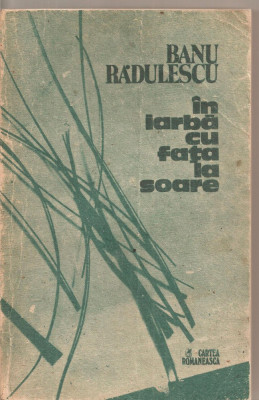 (C4989) IN IARBA CU FATA LA SOARE DE BANU RADULESCU, EDITURA CARTEA ROMANEASCA, 1989 foto