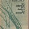 (C4989) IN IARBA CU FATA LA SOARE DE BANU RADULESCU, EDITURA CARTEA ROMANEASCA, 1989