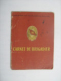 Carnet de brigadier - 1961, Romania de la 1950, Documente