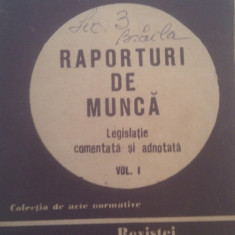 RAPORTURI DE MUNCA LEGISLATIE COMENTATA SI ADNOTATA 1989,304 PAGINI