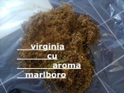 VIRGINIA CU AROMA MARLBORO foto