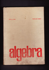 Ion D. Ion, Nicolae Radu - ALGEBRA - Editura Didactica si Pedagogica, Bucuresti, 1975 foto