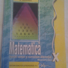 MATEMATICA TRUNCHI COMUN SI CURRICULUM DIFERENTIAT MANUAL CLASA X 2012