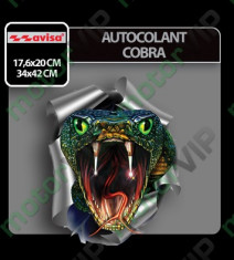 AUTOCOLANT COBRA foto