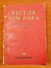 VELERIM SI VELER DOAMNE - VICTOR ION POPA foto