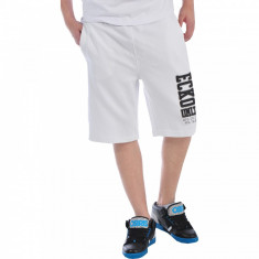 Pantaloni scurti 34 barbati Ecko Unlimited Stacked Short #1000000011012 - Marime: M foto