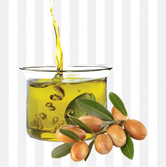 Ulei de Argan pur, virgin, 100% natural. 500 ml, LIVRARE GRATUITA. foto