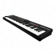 Alesis QX61 foto