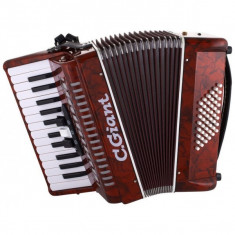 C.Giant Accordion Set 48 B-Stock foto