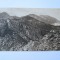 C.P. PRIVELISTE DE PE NEGOI CATRE SURUL 1946