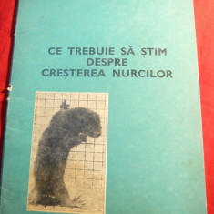 V.Sarbu - Ce trebuie sa stim despre cresterea Nurcilor - Ed. 1979