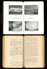 1925 Manual de NAVIGATIE AERIANA Pantazi Iacobescu METEOROLOGIE CARTOGRAFIE TOPOGRAFIE RAID APARATE BORD AERONAUTICA 291 Pag 148 Fig 16 Anexe foto