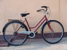 BICICLETA PATAGONIA foto