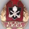 Insigna rara Pompieri 10 ani F.P.C.I