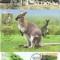 MOLDOVA 2013, Ilustrate maxime, Fauna