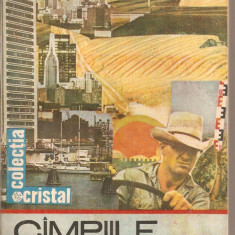 (C5429) CIMPIILE (CAMPIILE) TERREI DE IOAN IANOS SI GHEORGHE IACOB, EDITURA ALBATROS, 1989