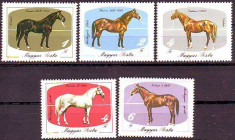 UNGARIA 1985, Fauna - Cai, serie neuzata, MNH foto