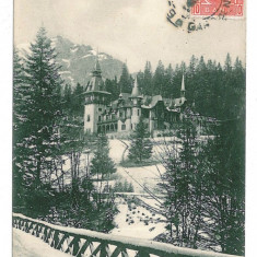 1946 - SINAIA, Prahova, Peles Castle - old postcard - used - TCV - 1907