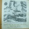 Pliant expozitie Matyas Iosif Sinmartin Harghita pictura grafica Deva 1987