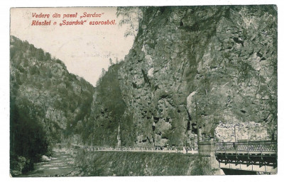 1910 - Pasul SURDUC, Gorj, bridge - old postcard - used - 1929 foto