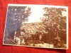 Ilustrata Predeal - Vedere Generala , anii &#039;50