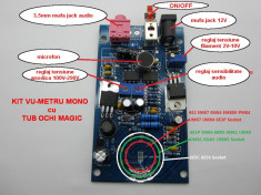 IASI * Audio vizualizer - VU-metru cu tuburi lampi ochi magic, semnal audio prin microfon sau jack * Gratuit cu Posta Romana foto