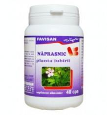 Napraznic 40 capsule Favisan foto