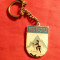 Breloc Alpinism - Negoiu , metal emailat, OJT Sibiu, h= 3,3 cm