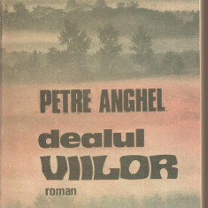 (C5494) DEALUL VIILOR DE PETRE ANGHEL, EDITURA CARTEA ROMANEASCA, 1988