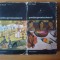 w JOHN REWALD - POSTIMPRESIONISMUL, 2 volume