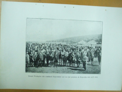 Depozitul de armasari de la Grasi judetul Neamt 12 septembrie 1925 grupul armasarilor premiati foto