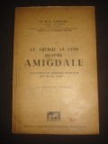 D. I. VASILIU - CE TREBUIE SA STIM DESPRE AMIGDALE {1938}